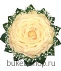 Гламелия. Роза. Уникальный свадебный букет – роскошная «роза», составленная из лепестков 35 светлых роз в технике «Гламелия».  