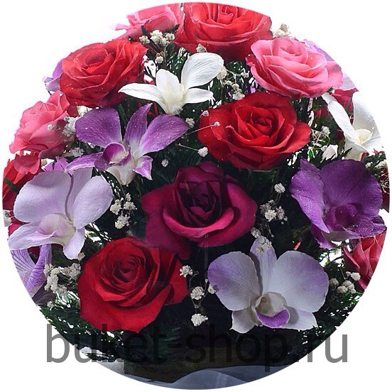 ���������� � ������� �� ����� ������. ����,�������. �������� ������ BUKET-SHOP.RU