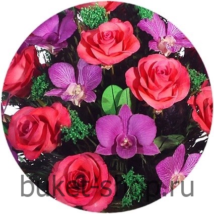      . , .   BUKET-SHOP.RU