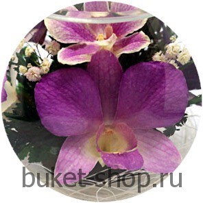 ���������� � ������� �� ����� ������. �������. �������� ������ BUKET-SHOP.RU