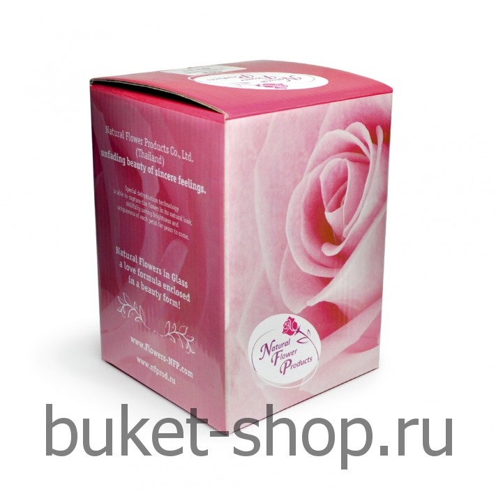 ����, �������. . �������� ������ BUKET-SHOP.RU