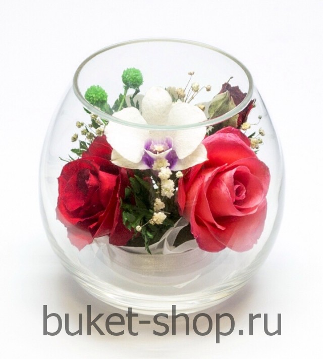 ����, �������. . �������� ������ BUKET-SHOP.RU
