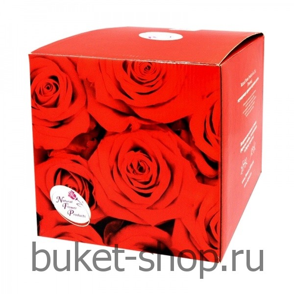  ���������� � ������� �� ����� ������. ����, �������. �������� ������ BUKET-SHOP.RU