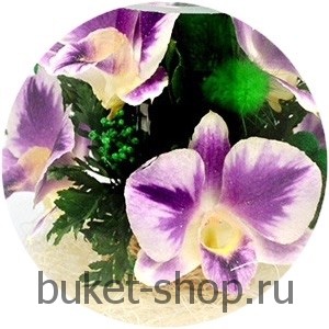 �������. . �������� ������ BUKET-SHOP.RU