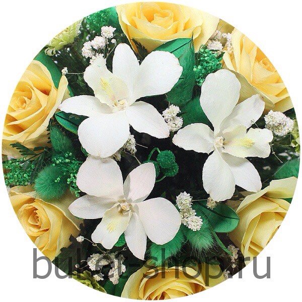  ���������� � ������� �� ����� ������. ����, �������. �������� ������ BUKET-SHOP.RU