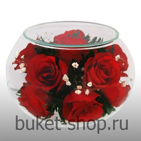 ���������� � ������� �� ����� ������. ����. �������� ������ BUKET-SHOP.RU