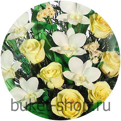  ���������� � ������� �� ����� ������. ����, �������. �������� ������ BUKET-SHOP.RU